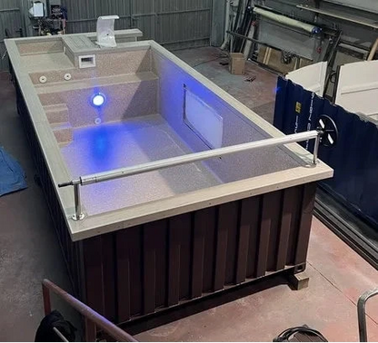 20-Fuß-Containerpool mit Zedernholzterrasse und Wärmepumpe